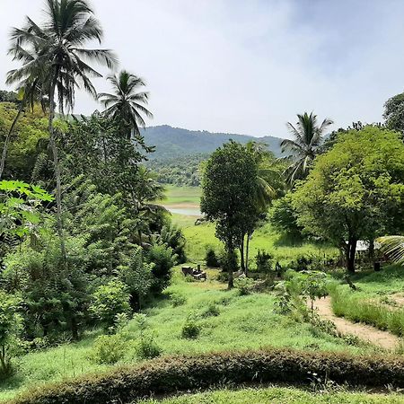 Victoria Views Resort Kandy Digana Dış mekan fotoğraf