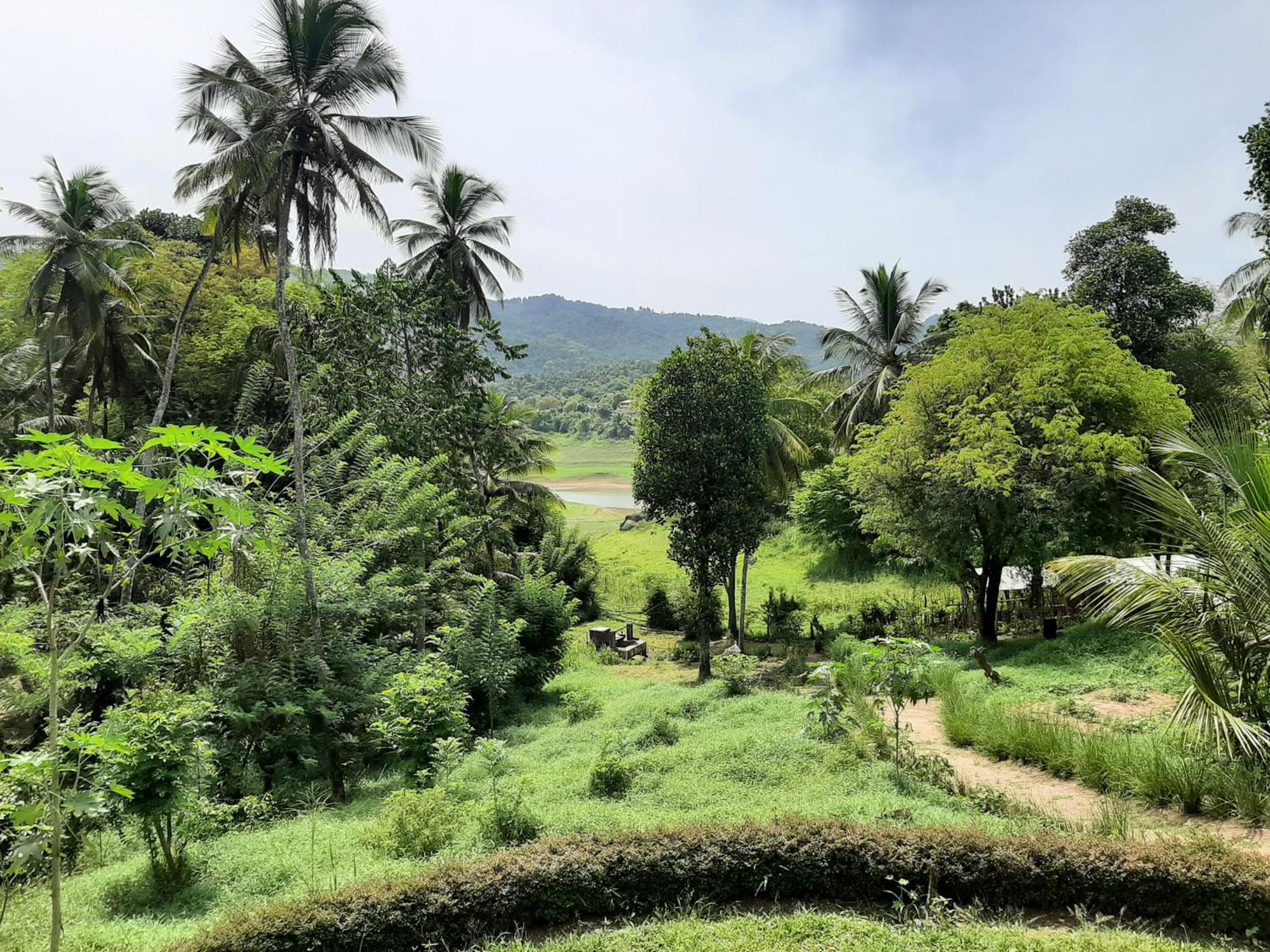 Victoria Views Resort Kandy Digana Dış mekan fotoğraf
